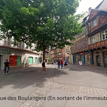 - Centre Historique - Salle D'eau Et Wc Prives Colmar