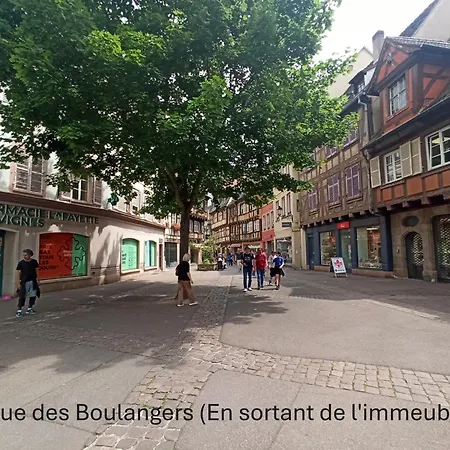 - Centre Historique - Equipee - Salle D'eau Et Wc Prives Colmar