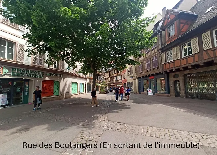 - Centre Historique - Equipée - Salle D'eau Et Wc Privés Colmar